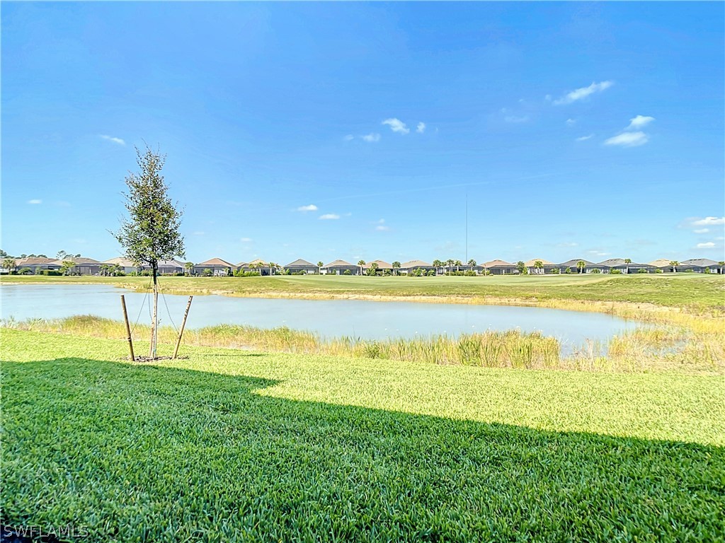 43988 Boardwalk Loop 1616