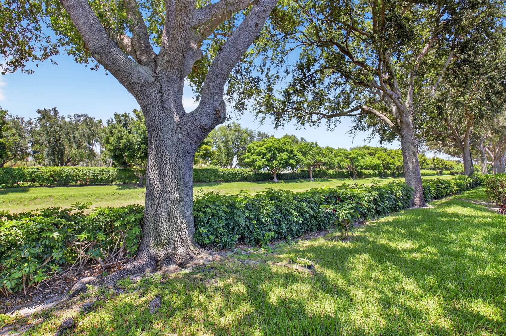 7021 Castlemaine Avenue