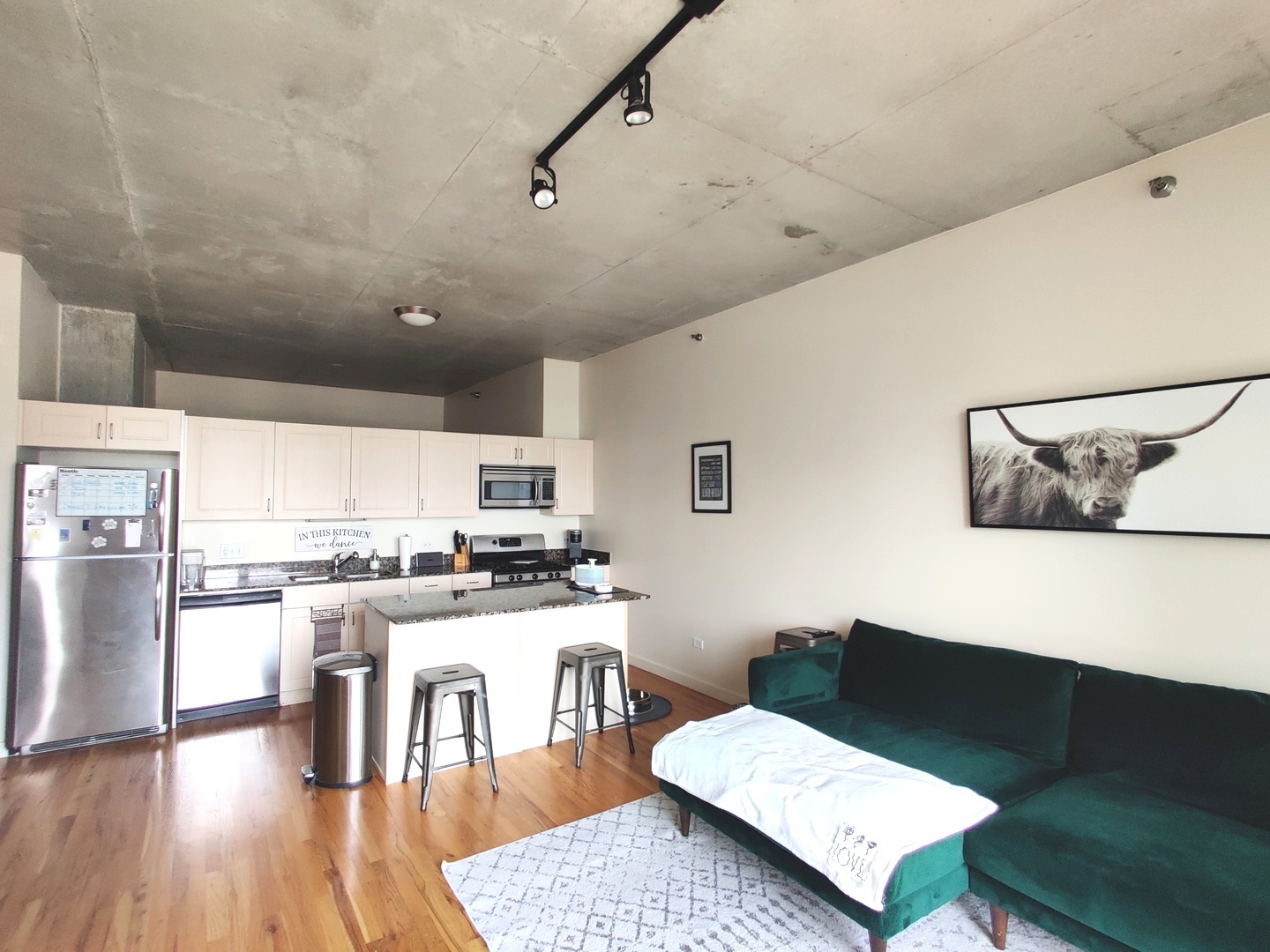 1720 S Michigan Avenue Unit: 1502