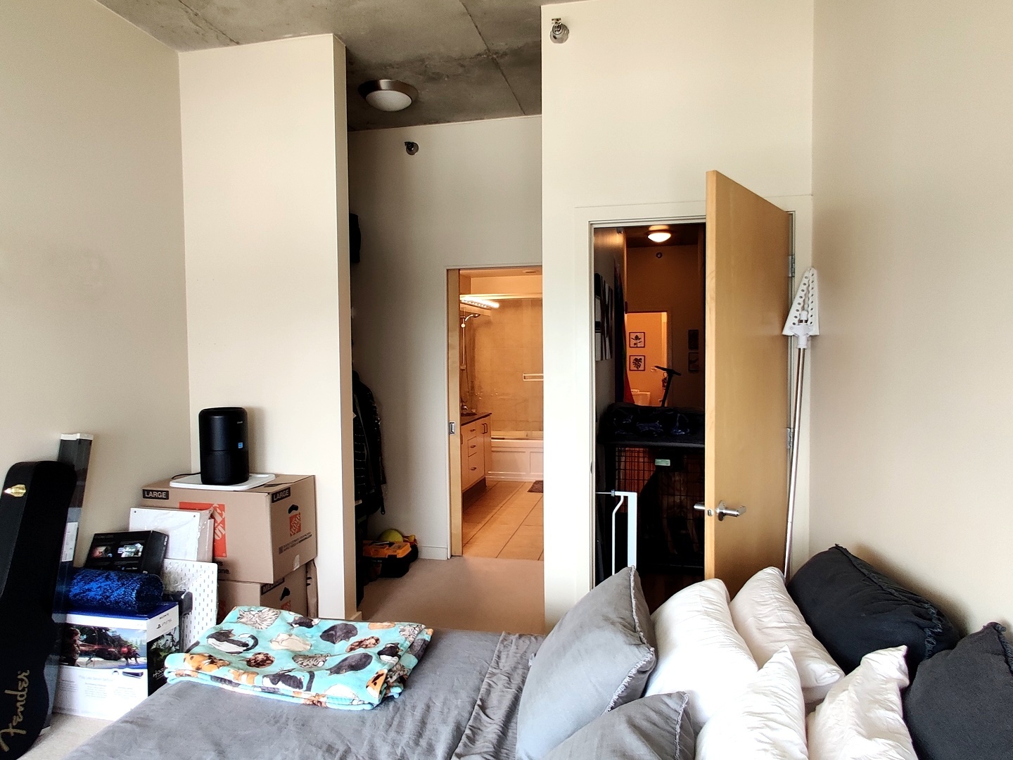 1720 S Michigan Avenue Unit: 1502