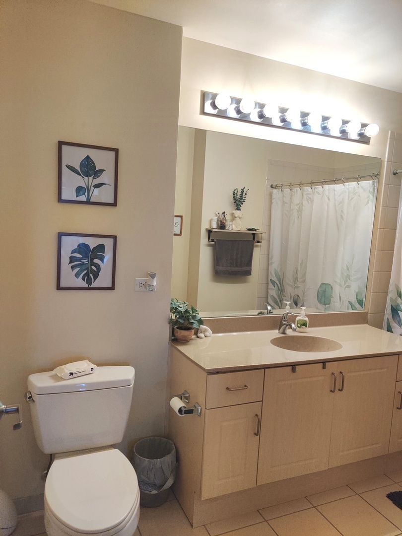 1720 S Michigan Avenue Unit: 1502