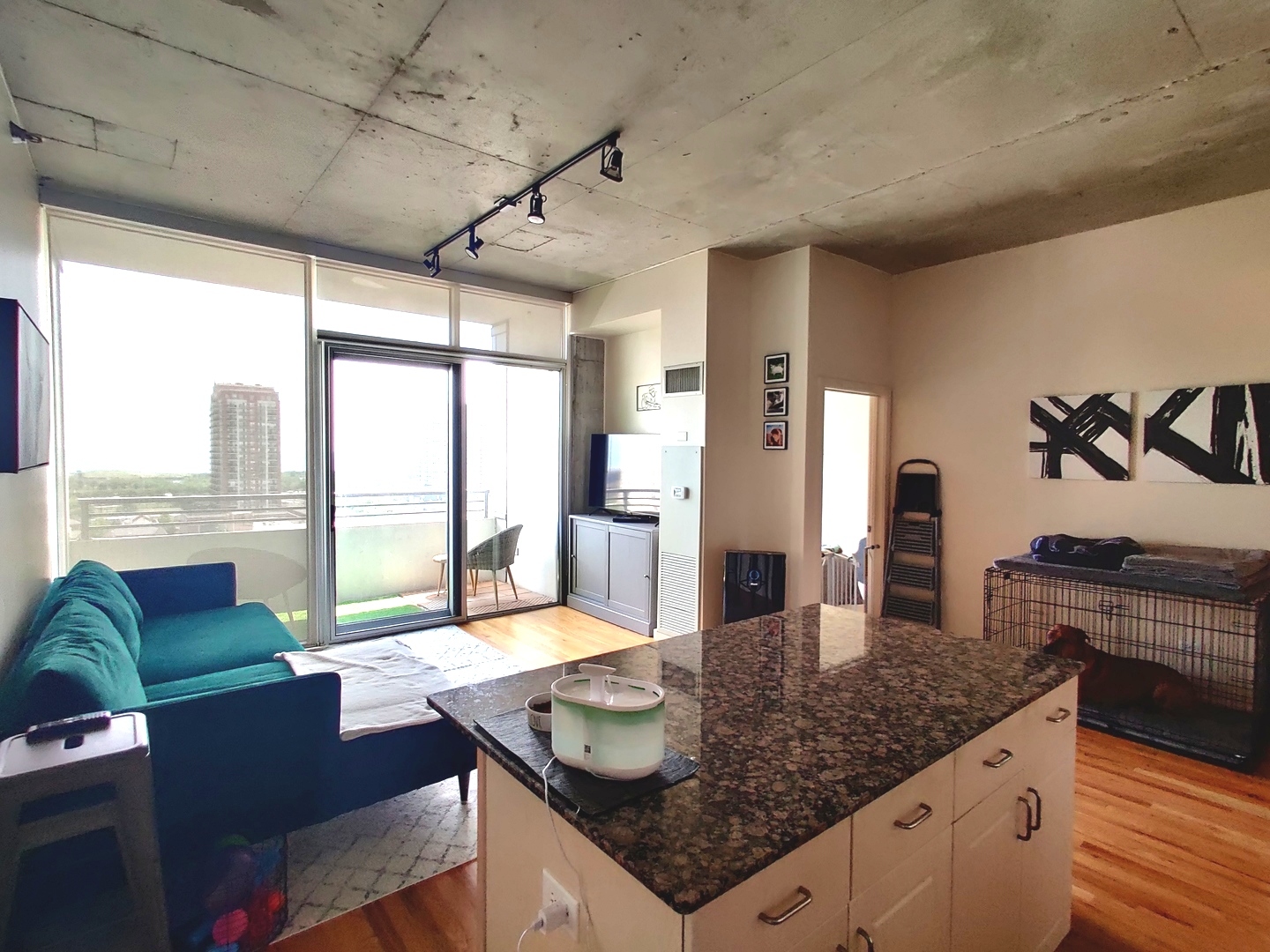 1720 S Michigan Avenue Unit: 1502