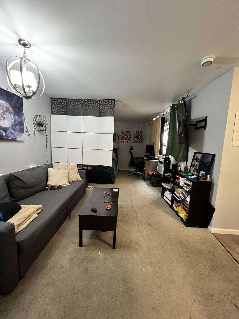 619 W Stratford Place Unit: 303