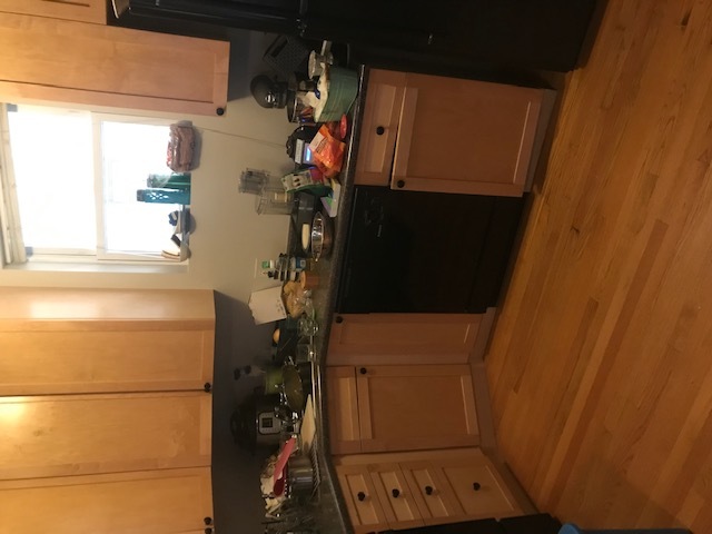 1819 W Iowa Street Unit: 1R