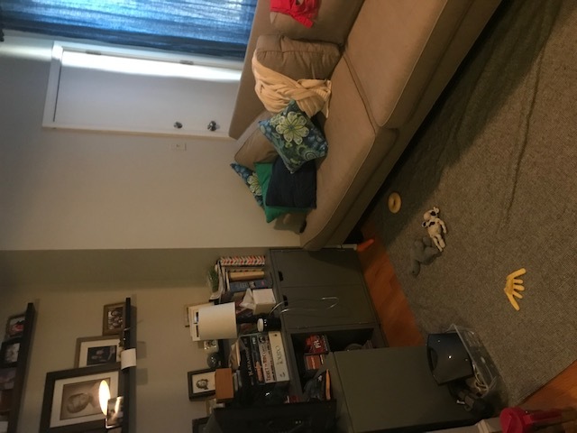 1819 W Iowa Street Unit: 1R