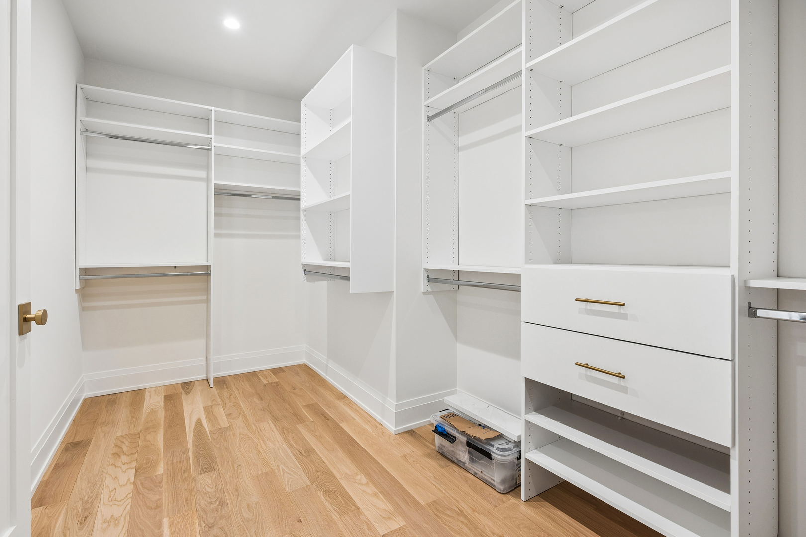 1317 W Wrightwood Avenue Unit: 3