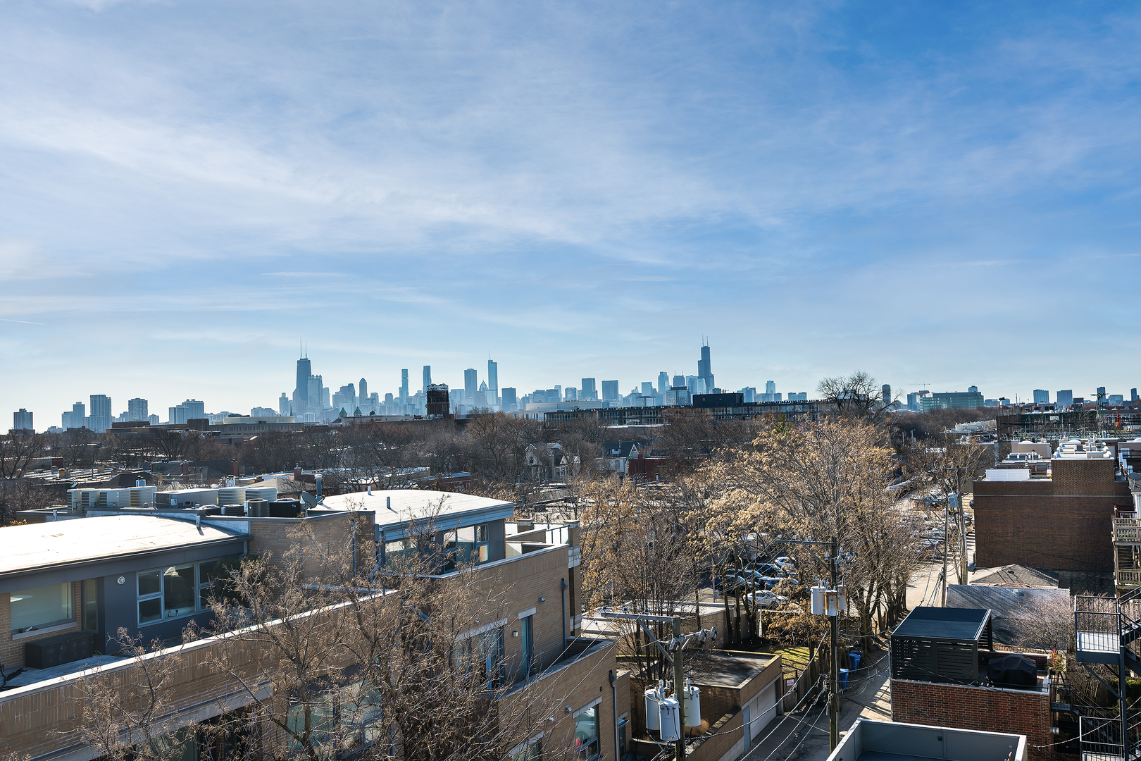 1317 W Wrightwood Avenue Unit: 3