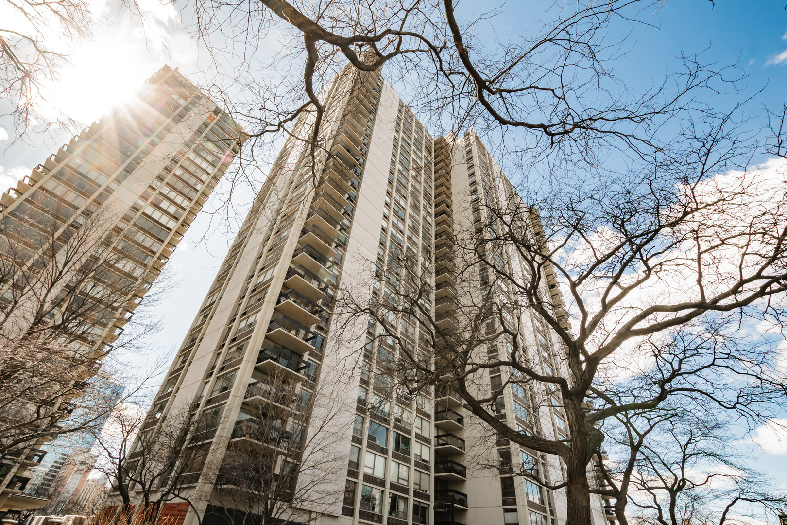 1360 N Sandburg Terrace Unit: 1409C