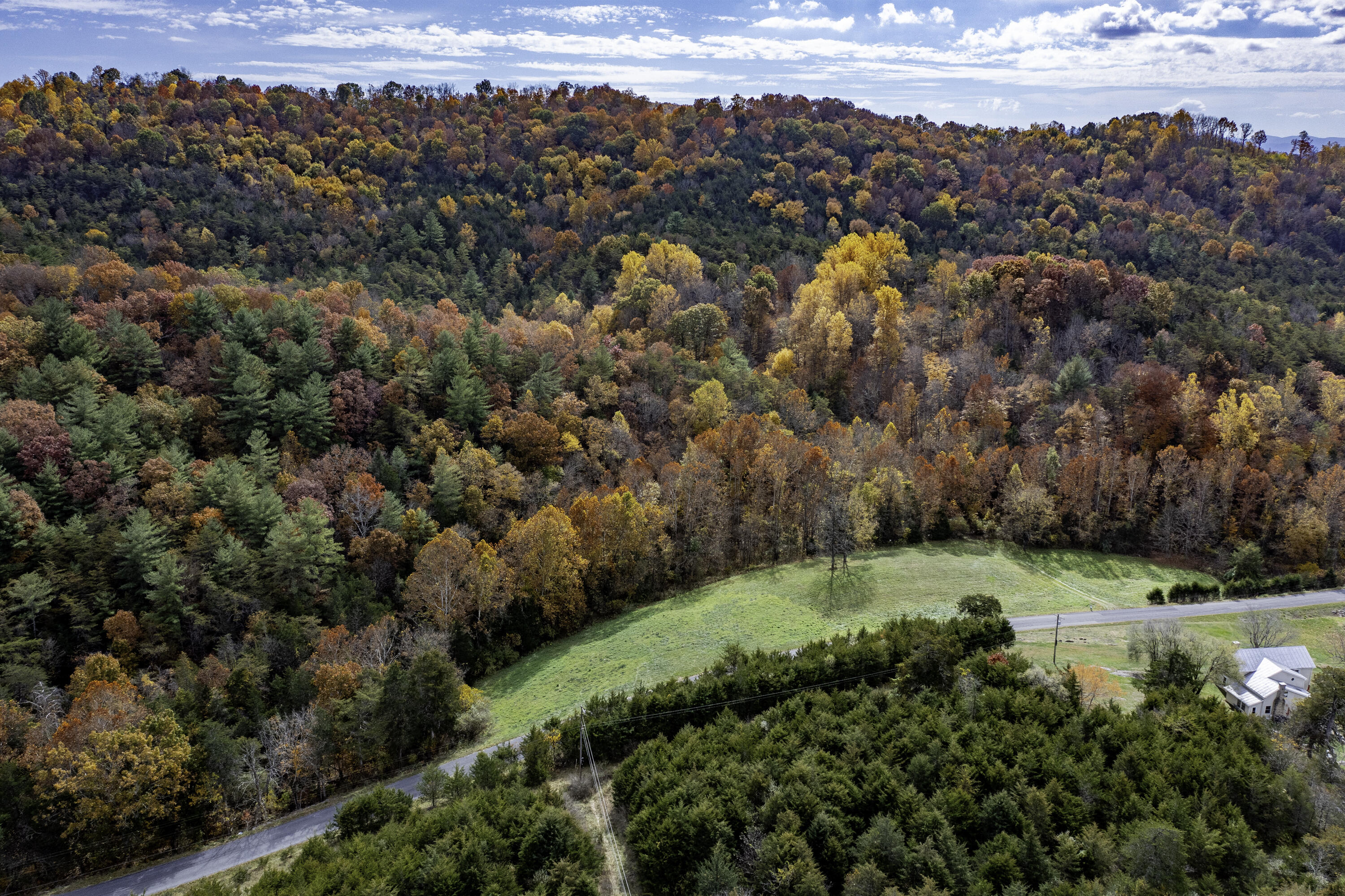TBD Toad Run Rd