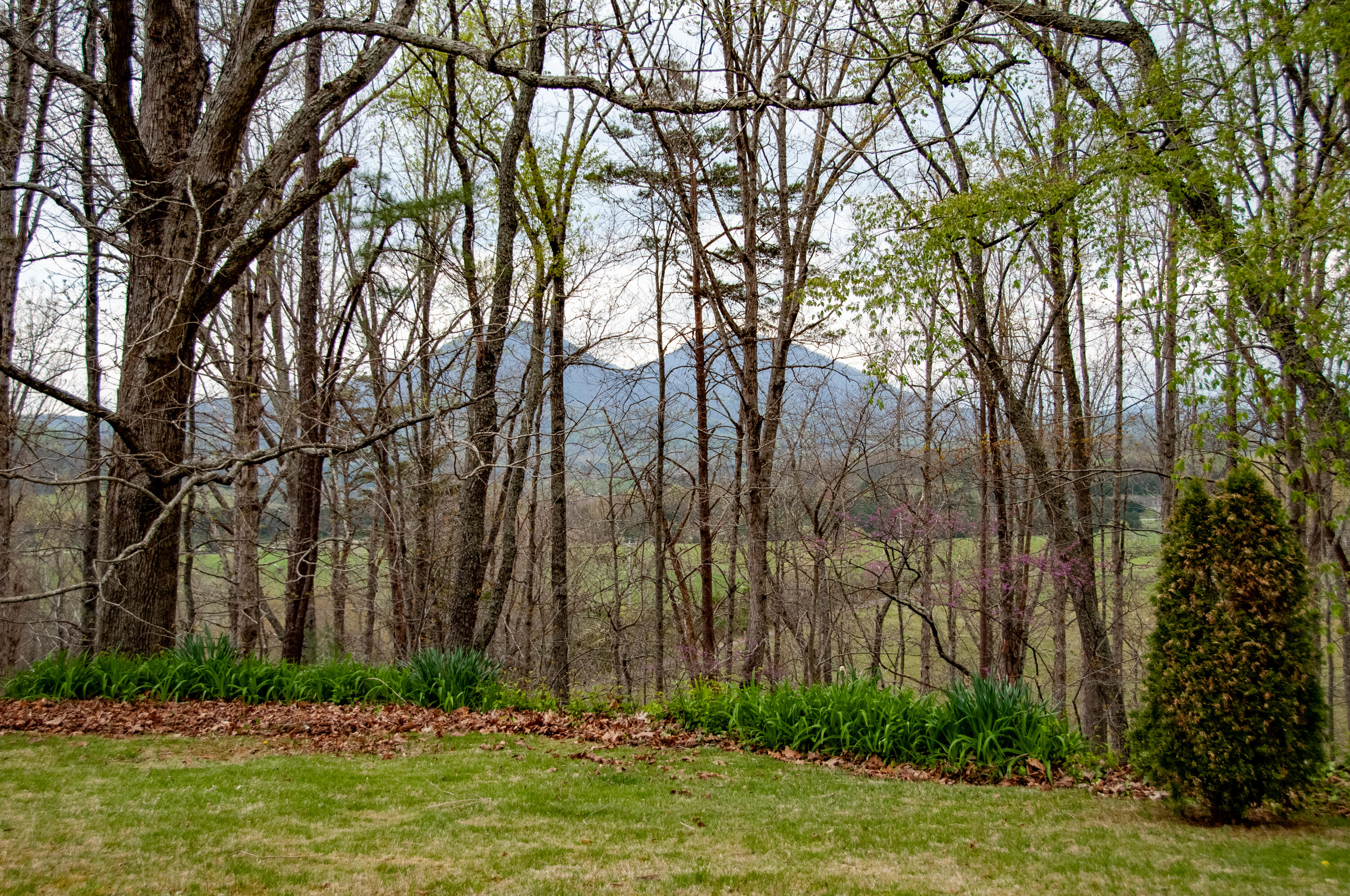 386 Fredericksburg Rd