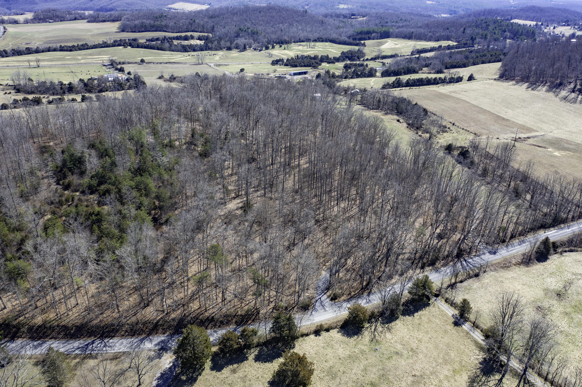 TBD Timber Ridge Rd