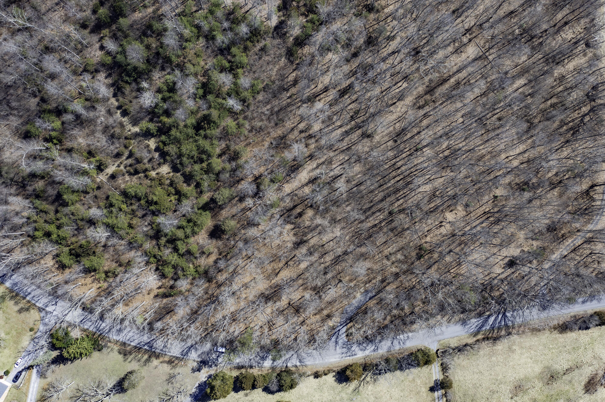 TBD Timber Ridge Rd