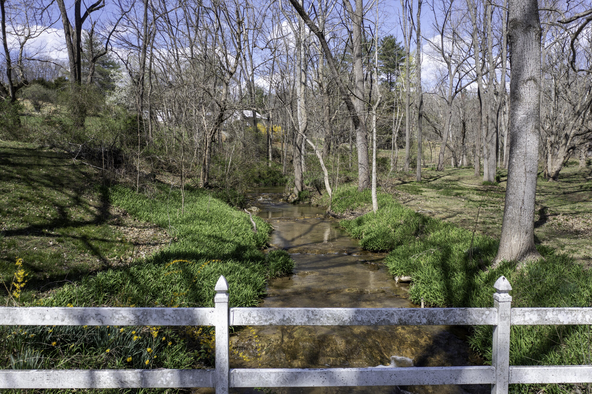 331 Lloyd Tolley Rd