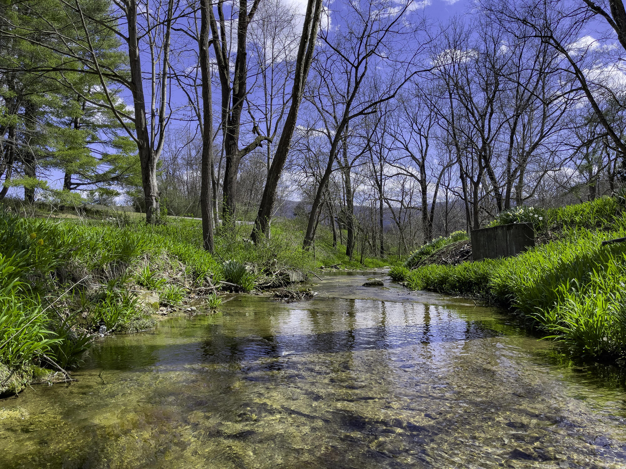 331 Lloyd Tolley Rd