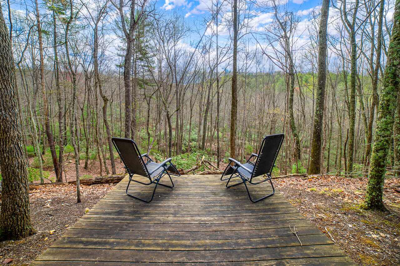 440 Acres Pig Run Rd