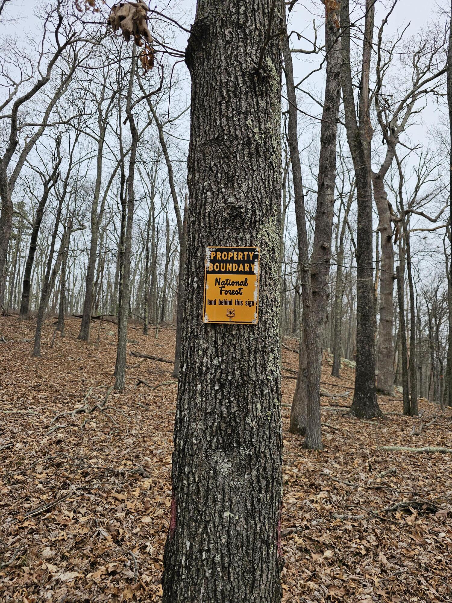 440 Acres Pig Run Rd