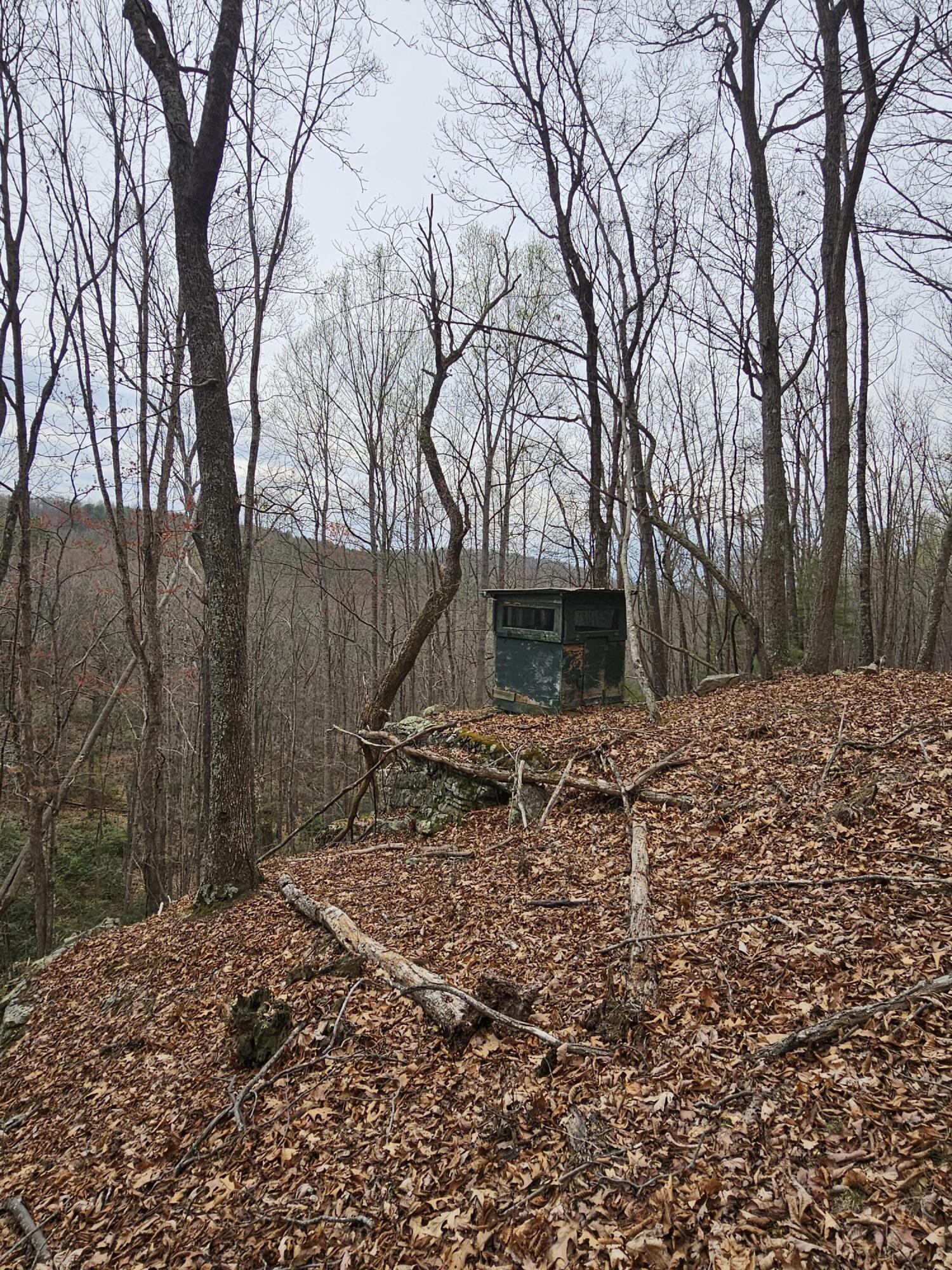 440 Acres Pig Run Rd