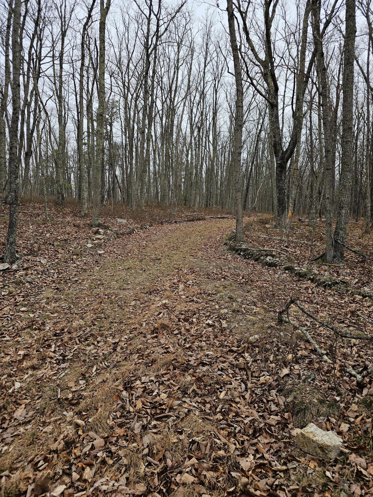 440 Acres Pig Run Rd