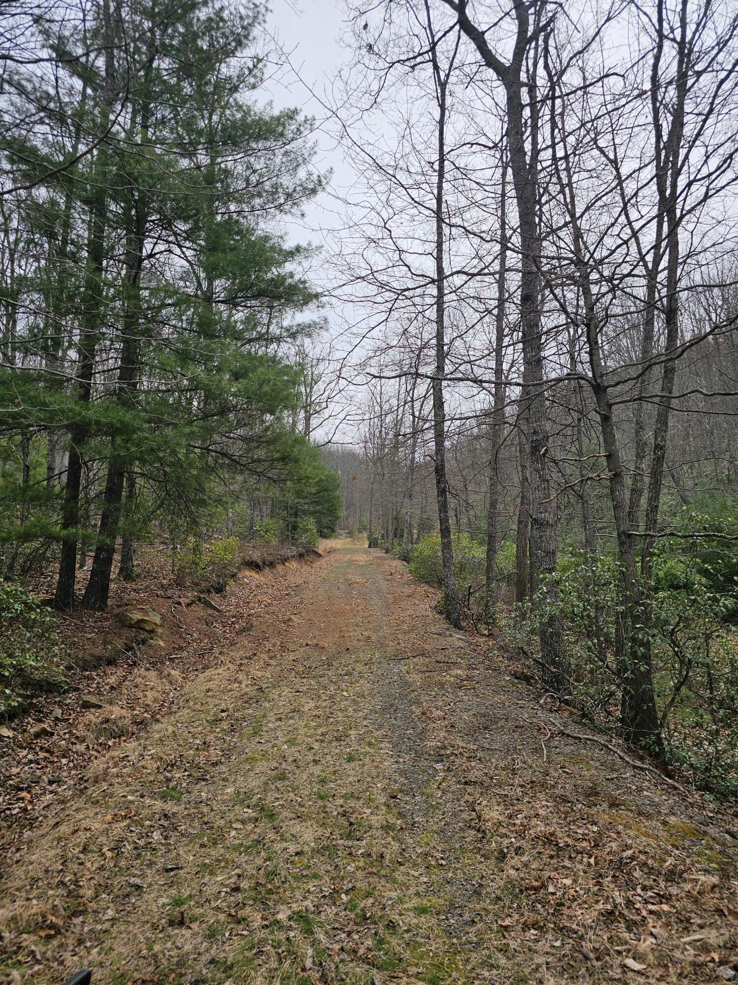 440 Acres Pig Run Rd