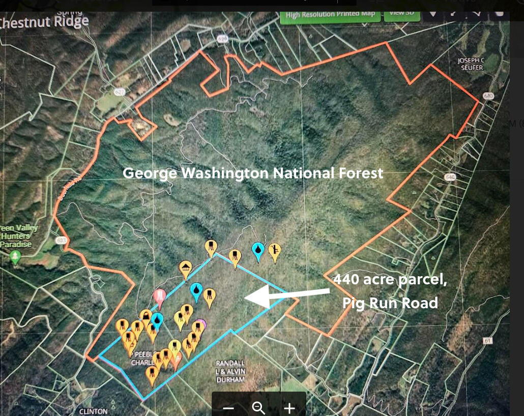 440 Acres Pig Run Rd