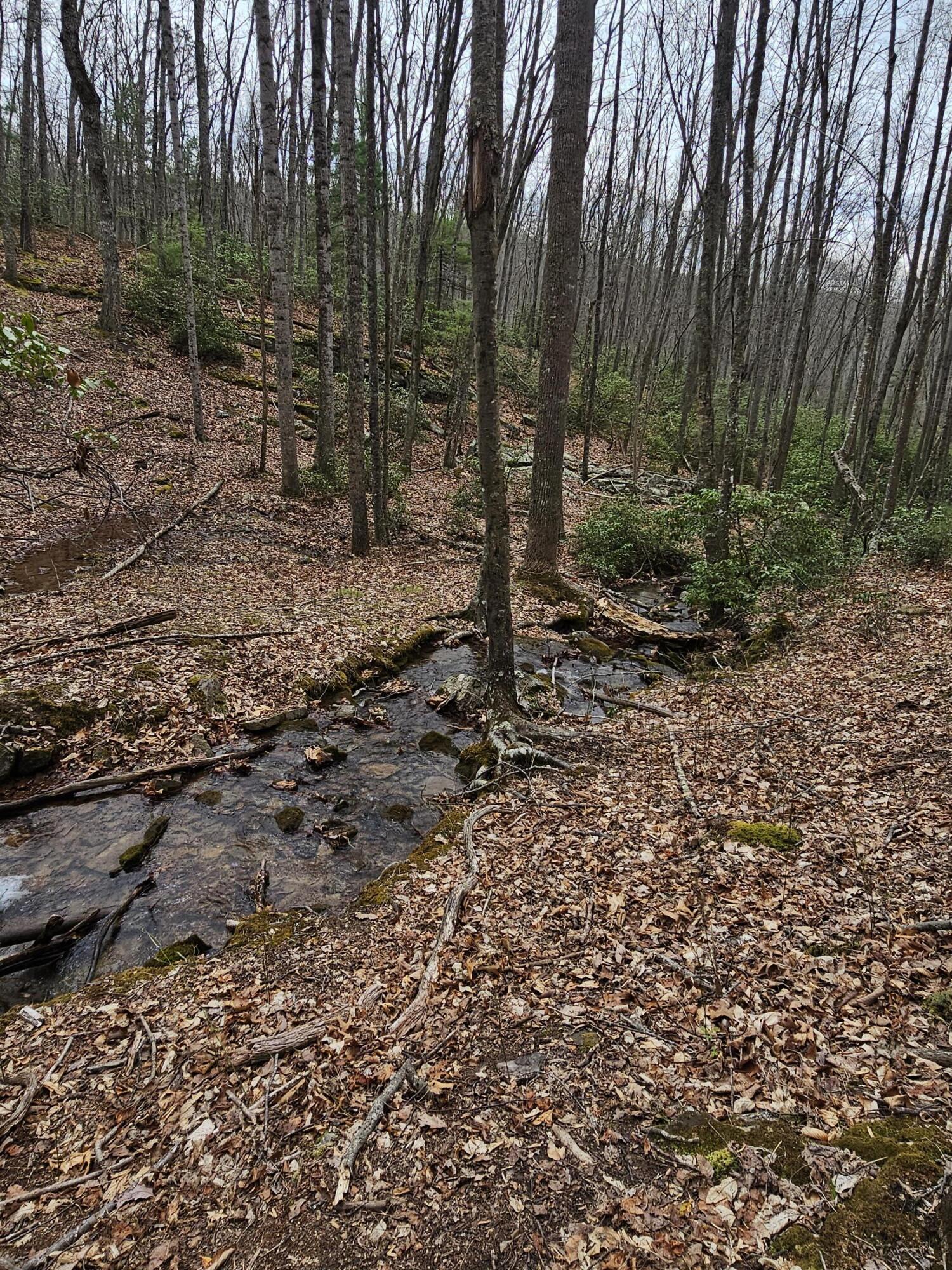 440 Acres Pig Run Rd