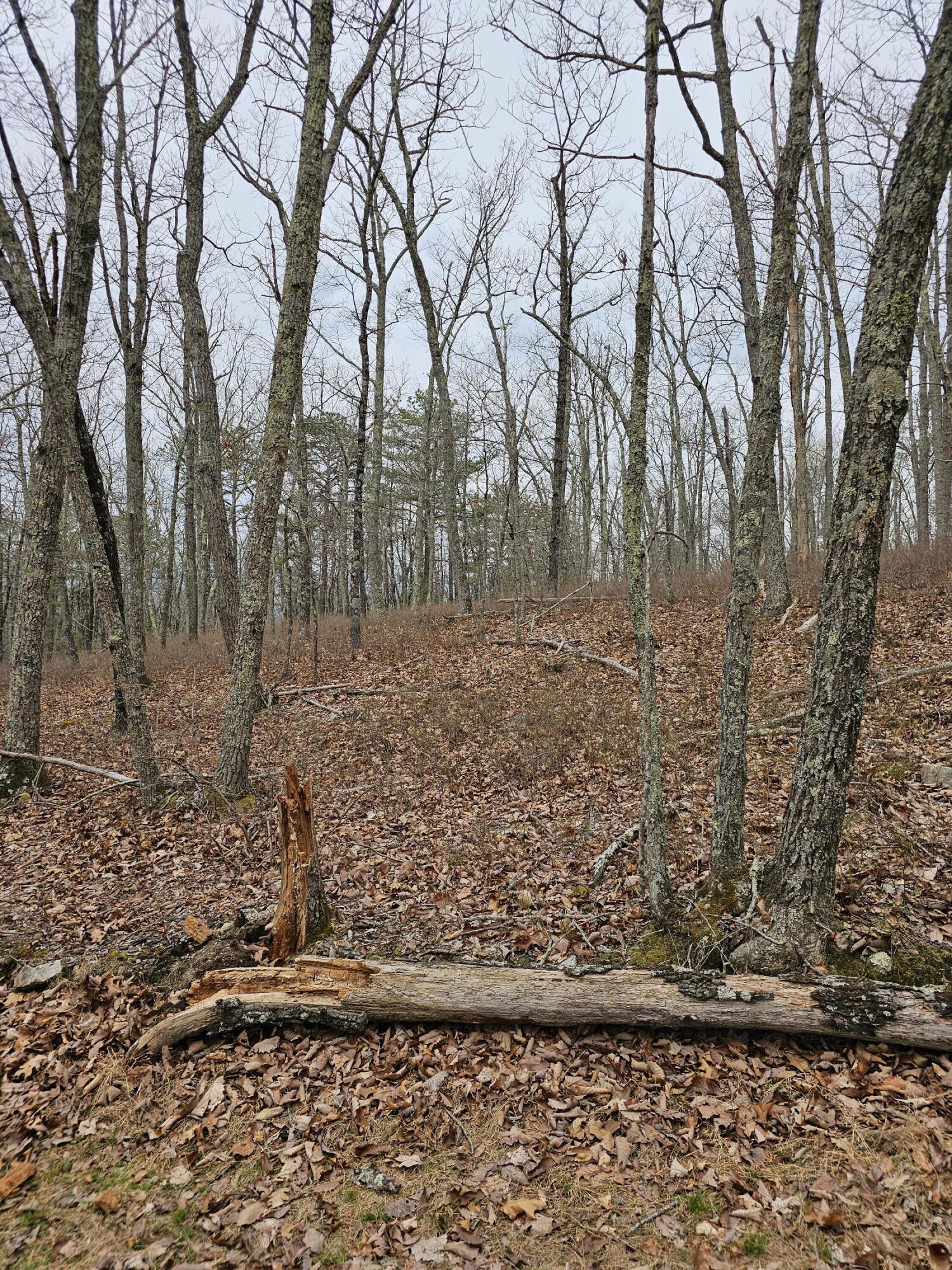 440 Acres Pig Run Rd