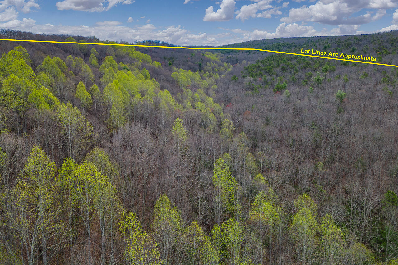 440 Acres Pig Run Rd