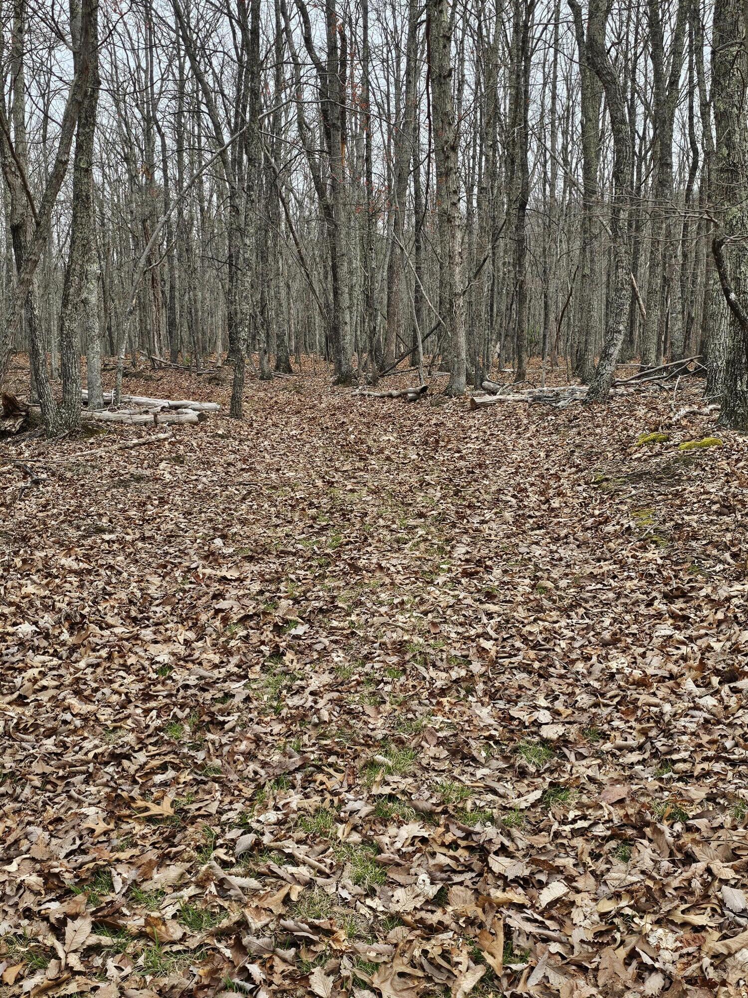 440 Acres Pig Run Rd
