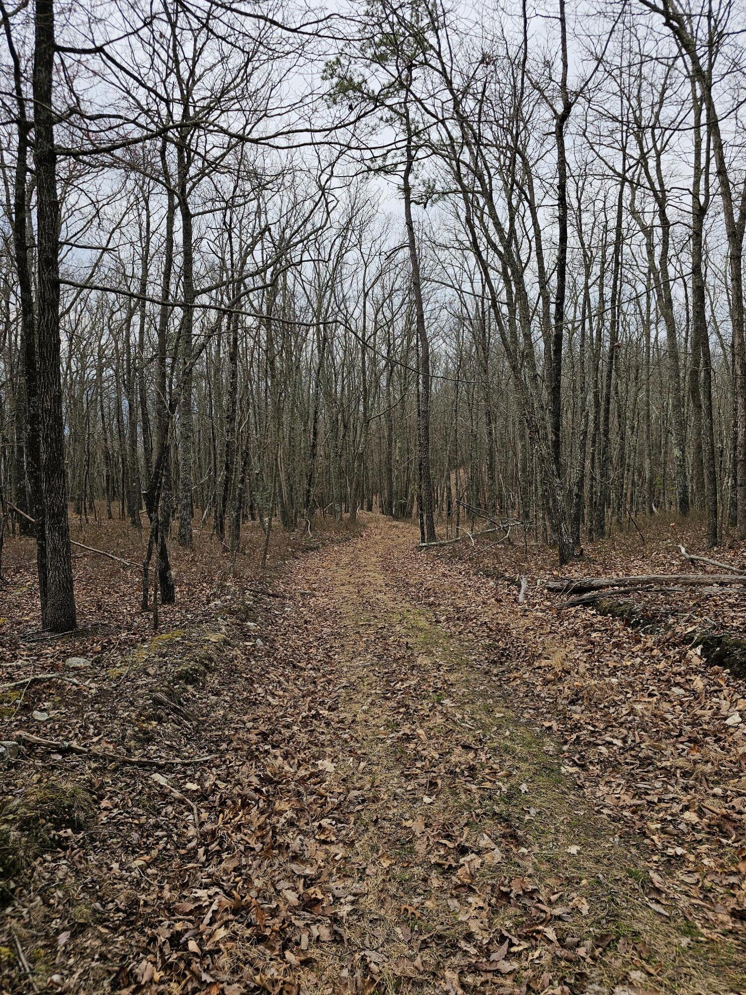 440 Acres Pig Run Rd