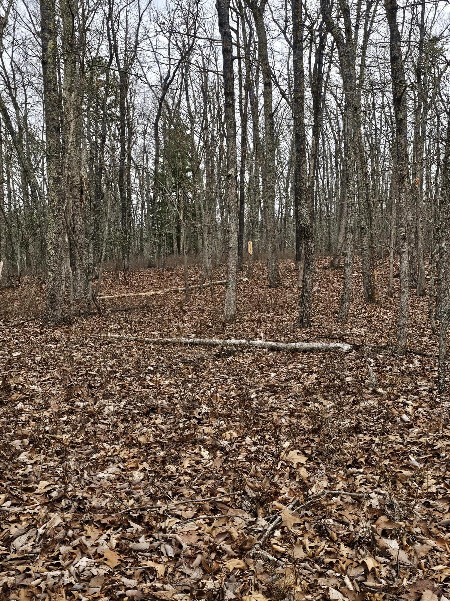 440 Acres Pig Run Rd