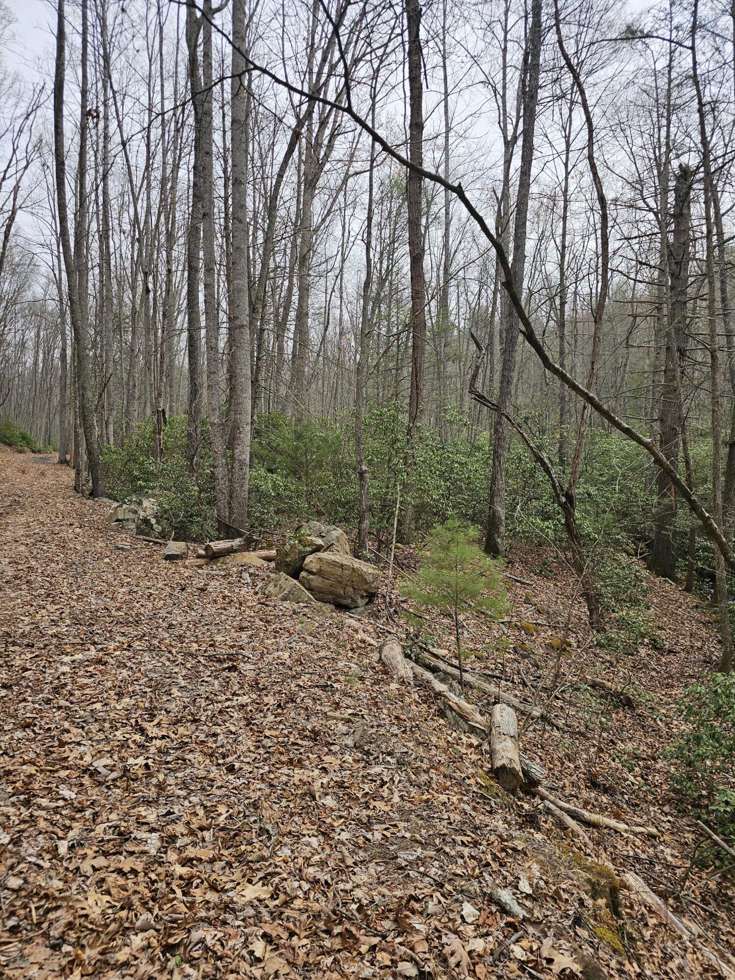 440 Acres Pig Run Rd
