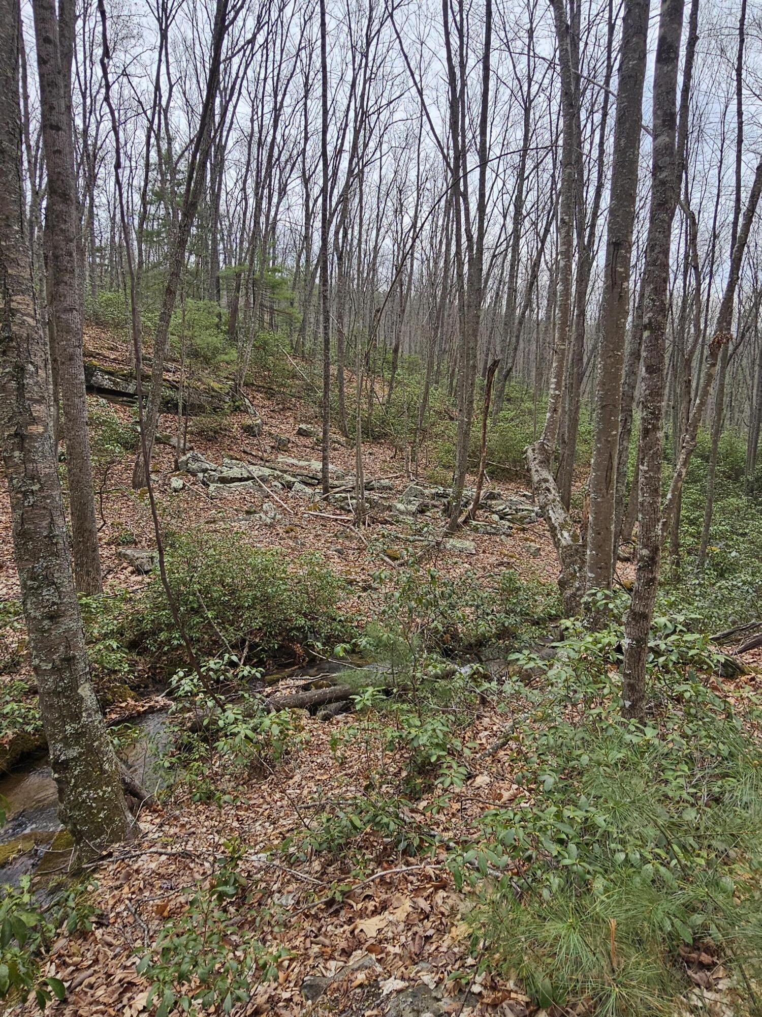 440 Acres Pig Run Rd
