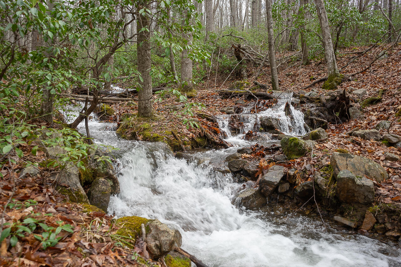440 Acres Pig Run Rd
