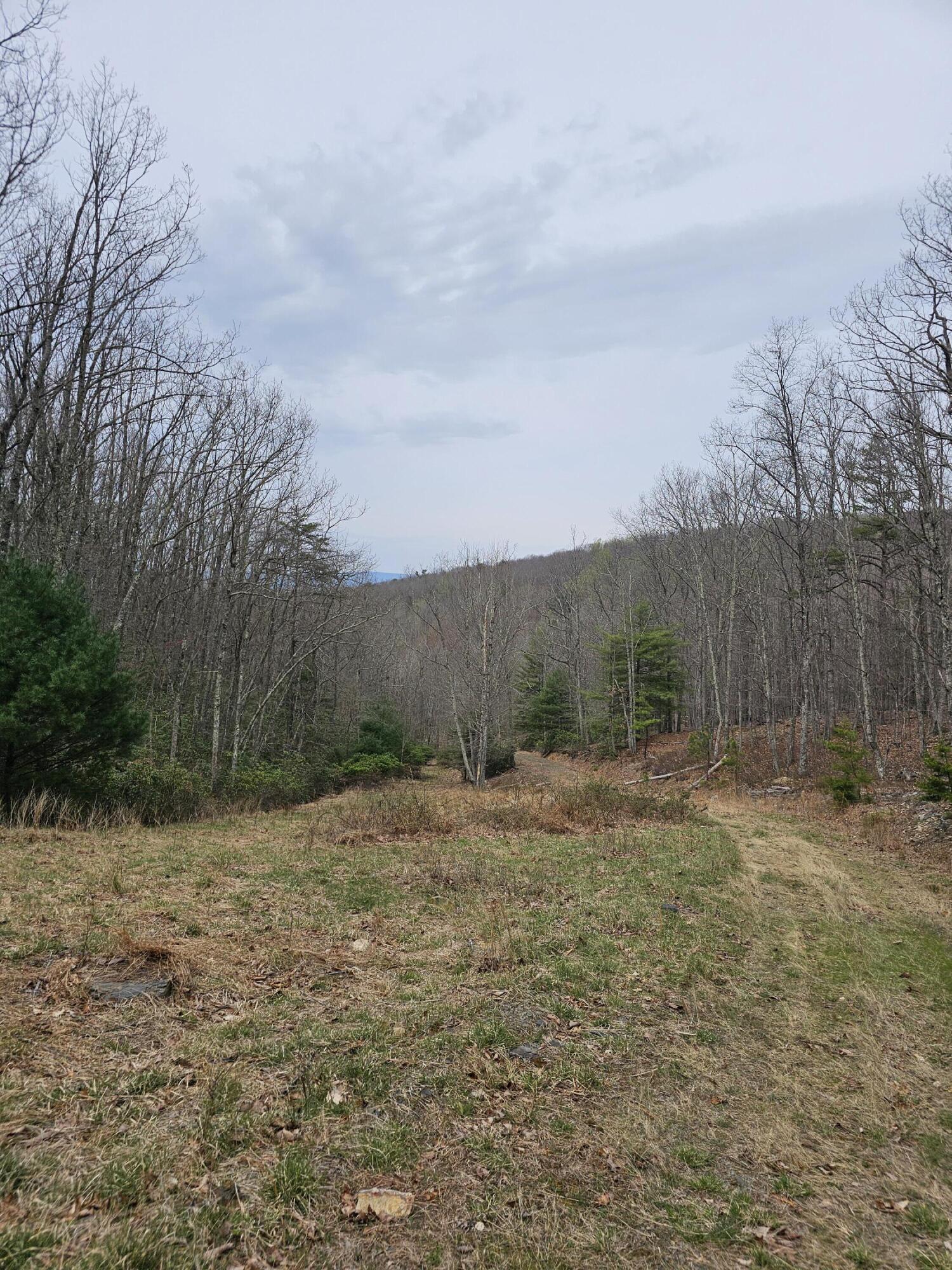 440 Acres Pig Run Rd