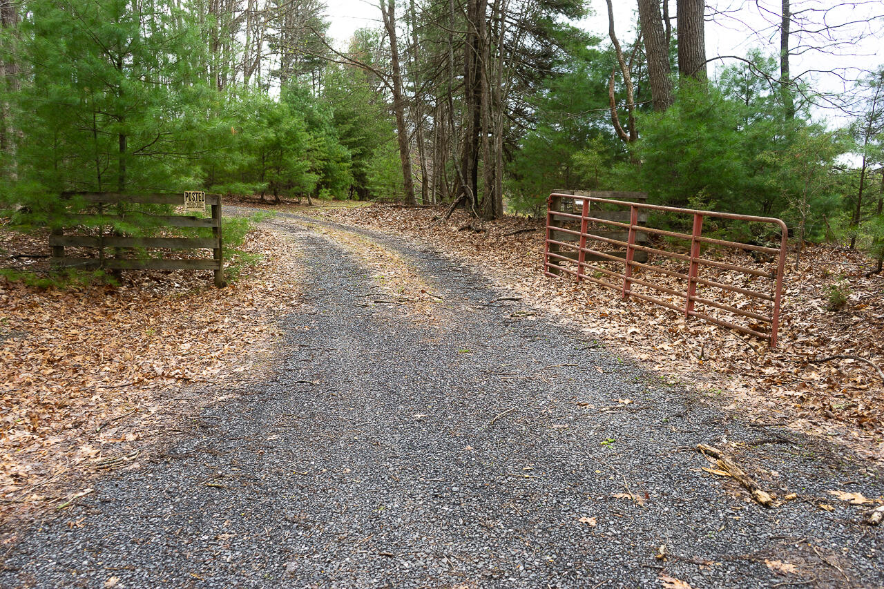 440 Acres Pig Run Rd