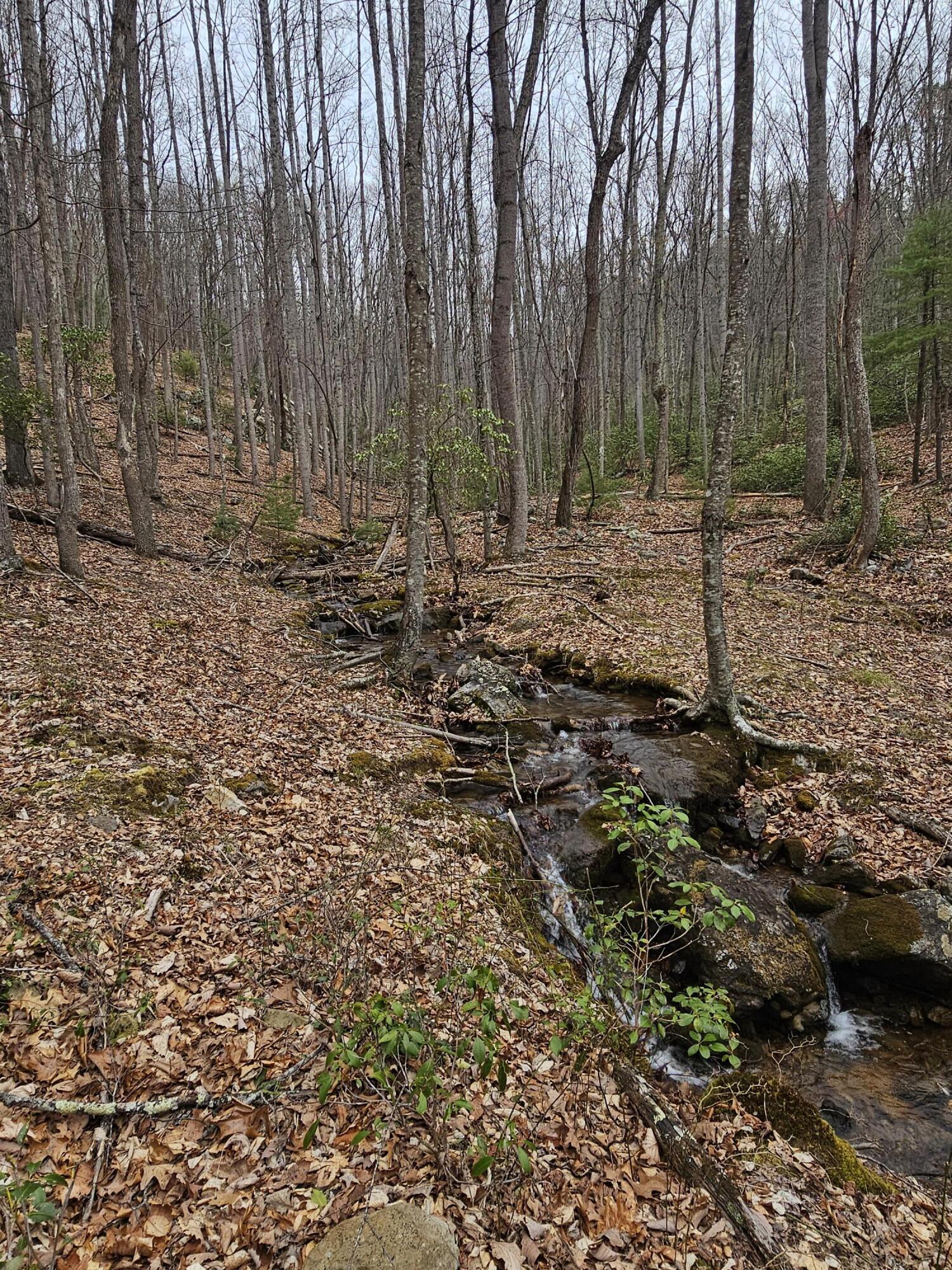 440 Acres Pig Run Rd