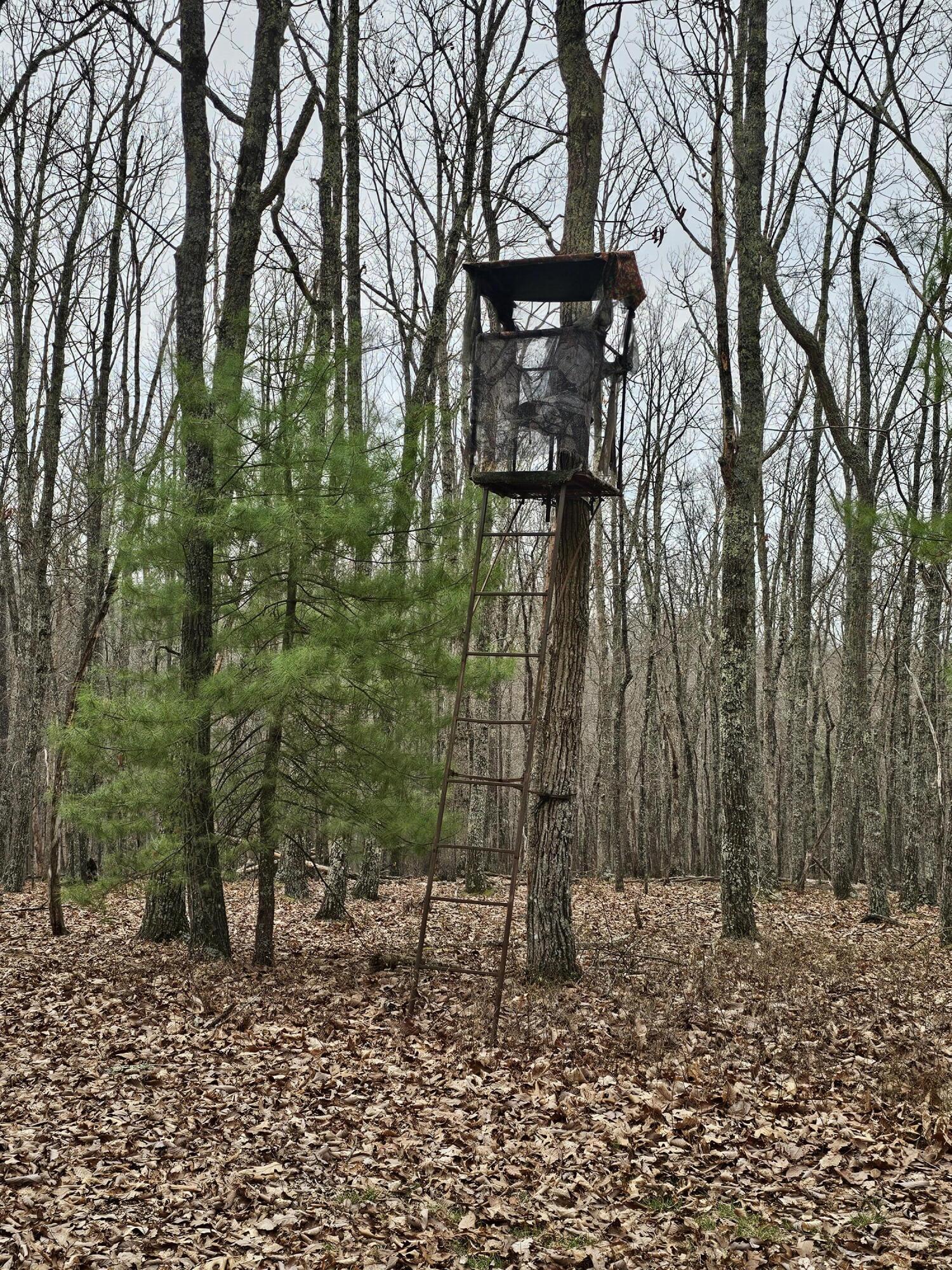 440 Acres Pig Run Rd