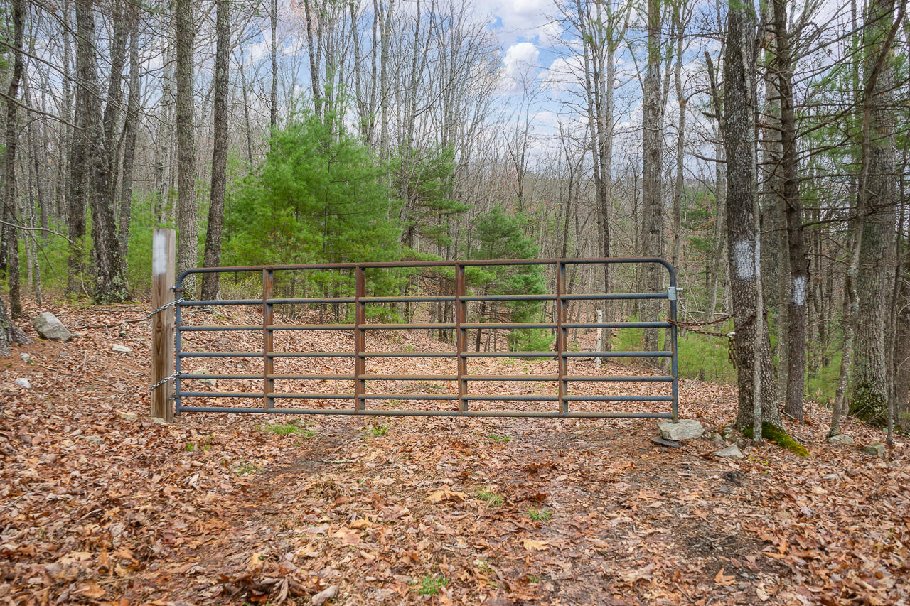 440 Acres Pig Run Rd