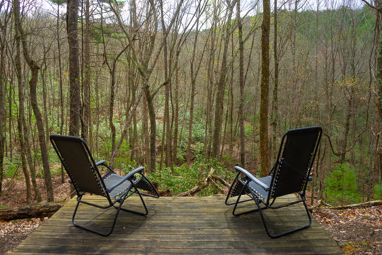 440 Acres Pig Run Rd
