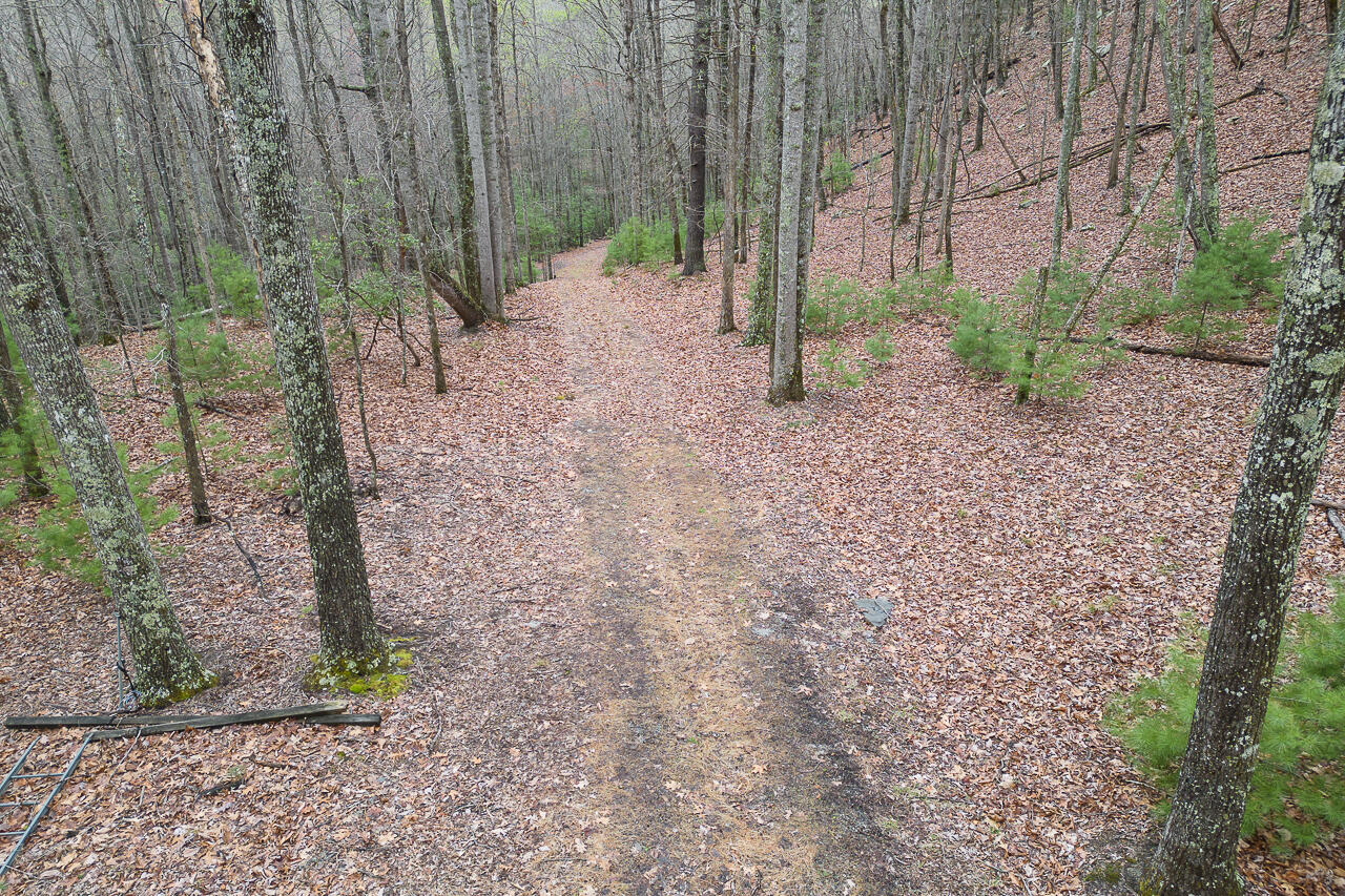 440 Acres Pig Run Rd