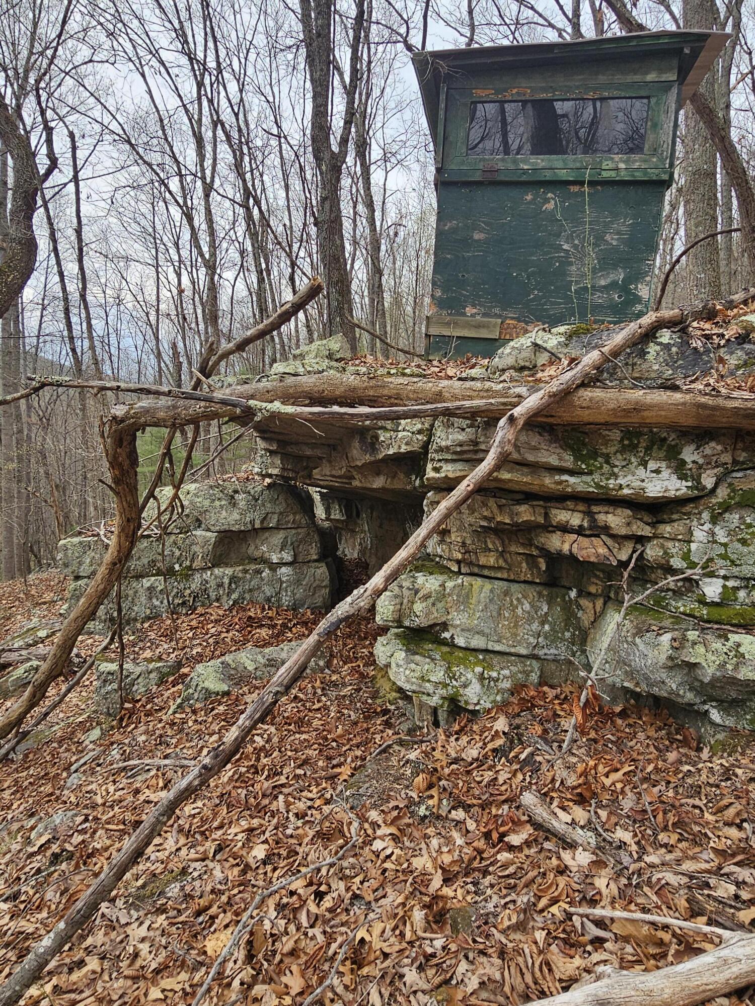 440 Acres Pig Run Rd