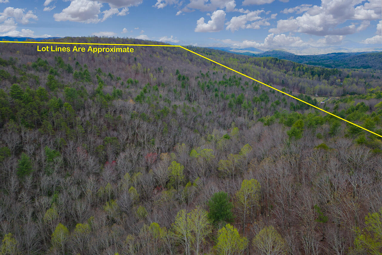 440 Acres Pig Run Rd