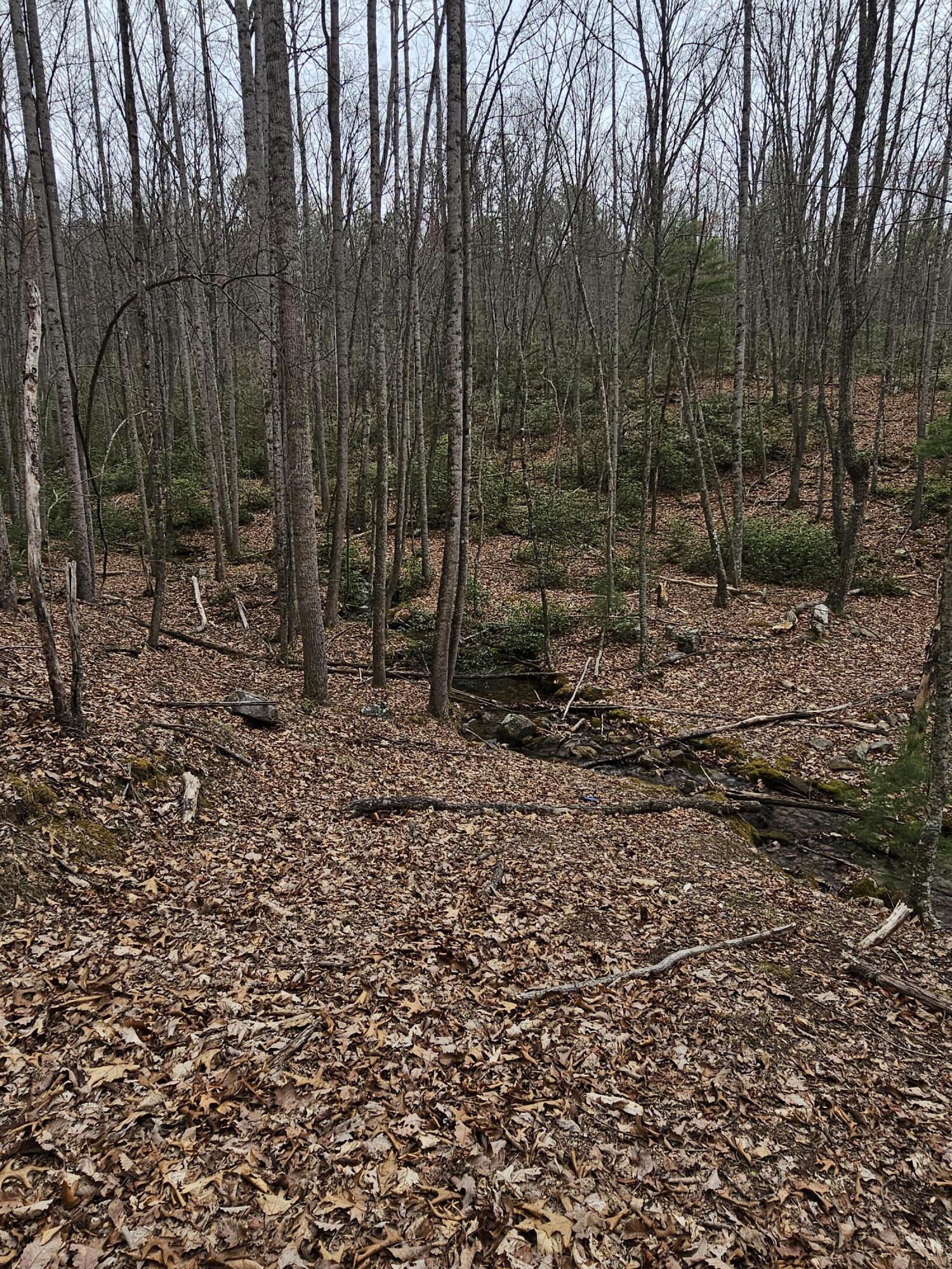 440 Acres Pig Run Rd
