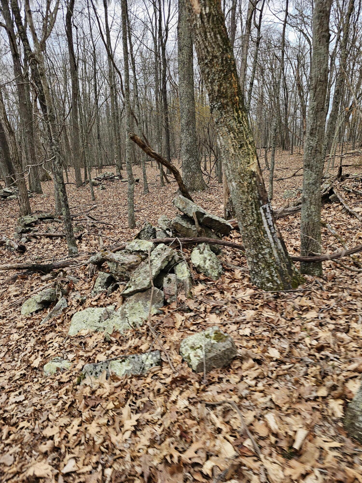 440 Acres Pig Run Rd