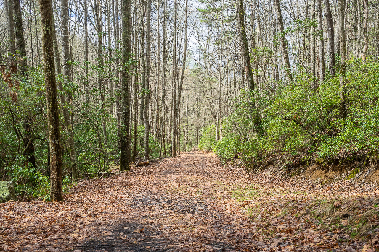 440 Acres Pig Run Rd