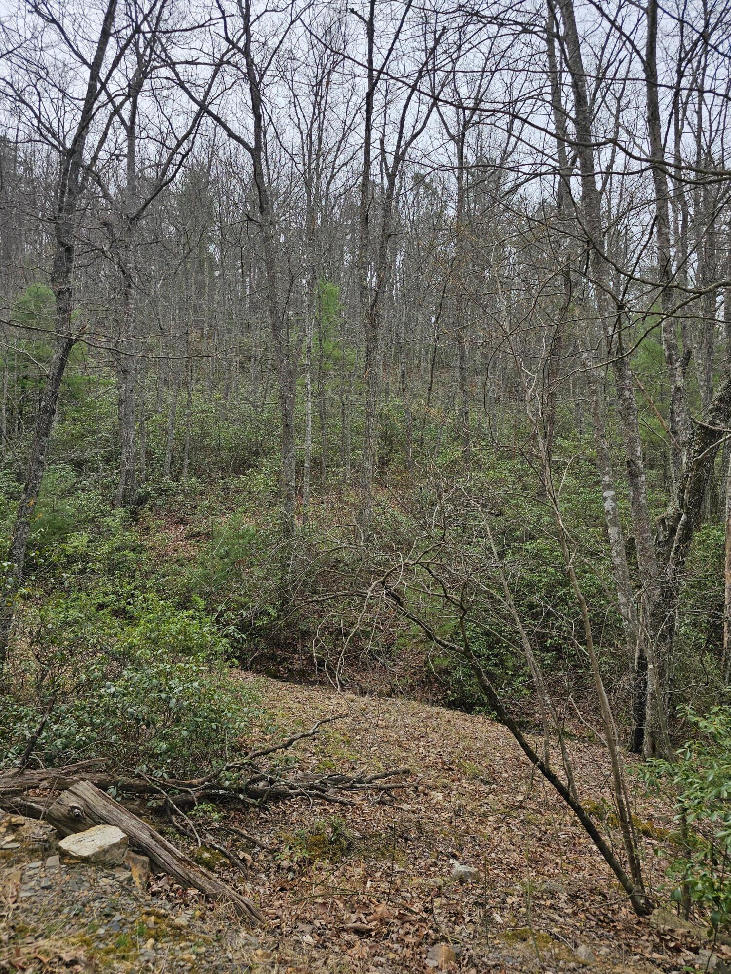 440 Acres Pig Run Rd