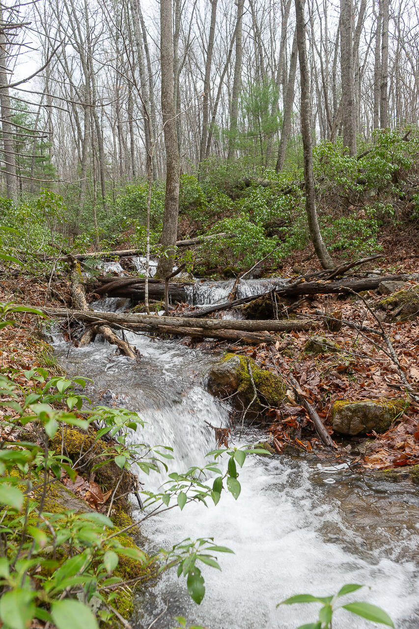 440 Acres Pig Run Rd