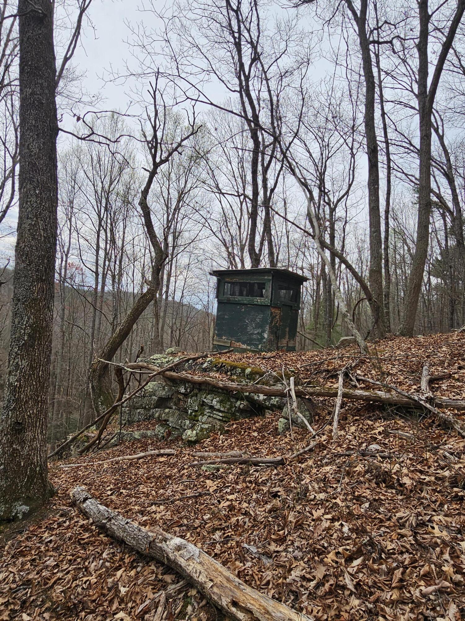 440 Acres Pig Run Rd