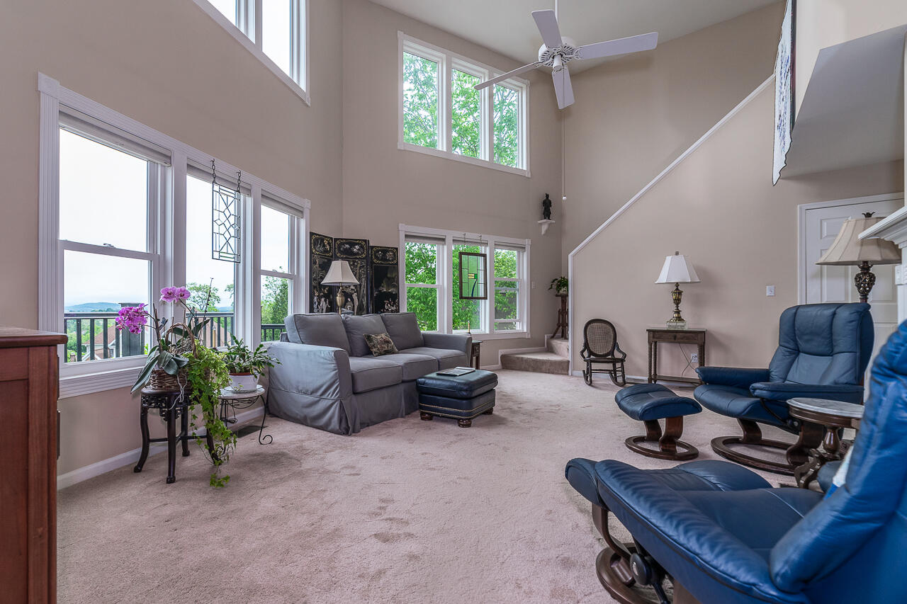 7 Hamilton Dr
