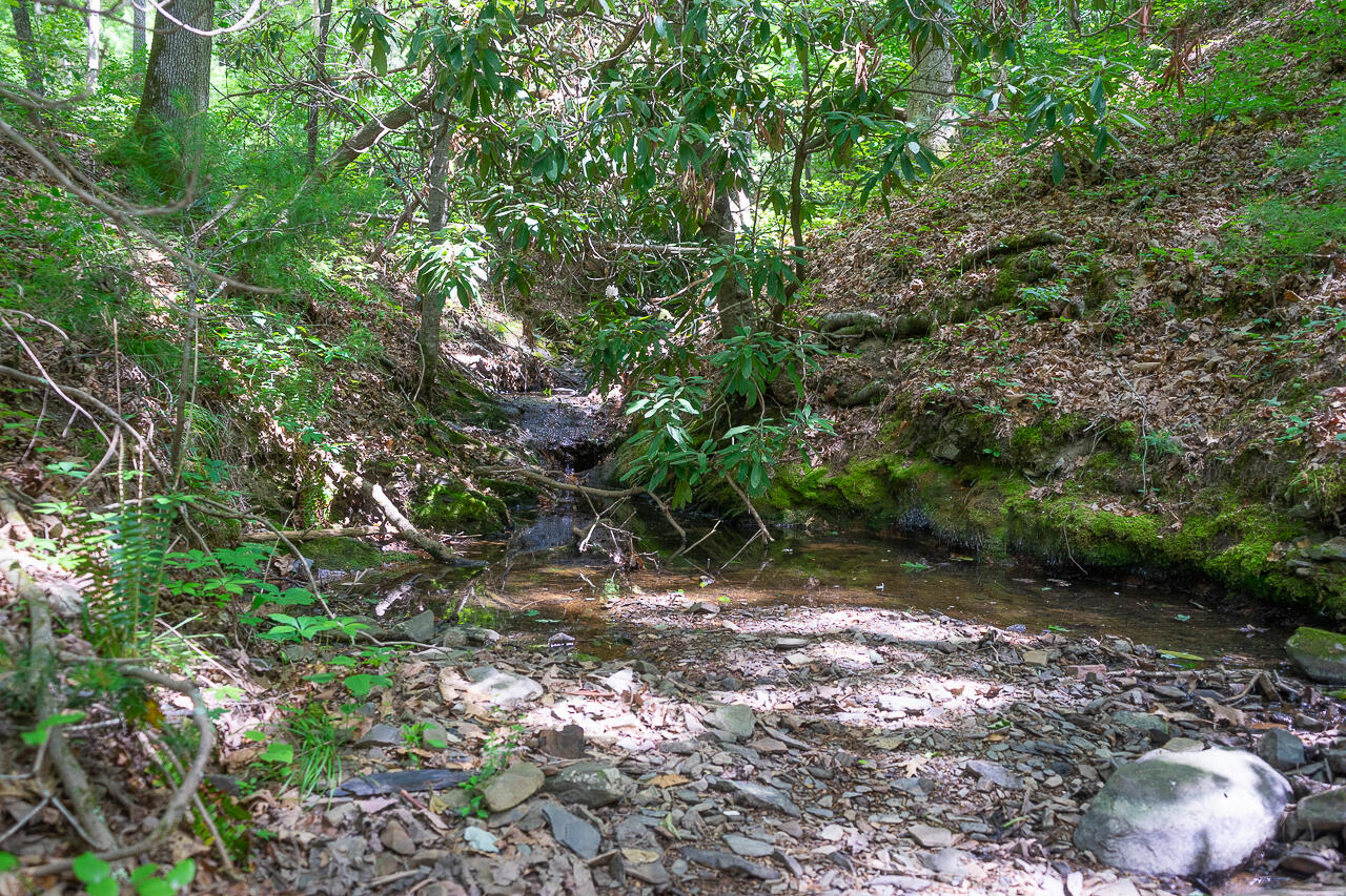 159 Seldom Seen Holler